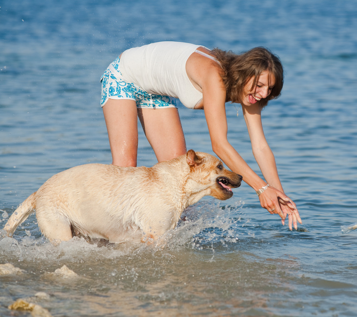 Mit hunde-urlaub.net Frühlings-Urlaub mit Hund in der Toskana sichern. Inklusive erstem Bad im 