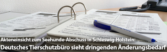 Nach Akteneinsicht zum Seehunde-Abschuss in Schleswig-Holstein: Deutsches Tierschutzbüro sieht dring Nach Akteneinsicht zum Seehunde-Abschuss in Schleswig-Holstein: Deutsches Tierschutzbüro sieht dring