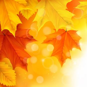 Den Herbst als ideale Zeit für eine Tattooentfernung nutzen / ©freepik.com Den Herbst als ideale Zeit für eine Tattooentfernung nutzen / ©freepik.com