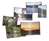 Natur und Umwelt sind das Thema des TONC-Fotowettbewerbs „Dein Foto für die Tonne!“