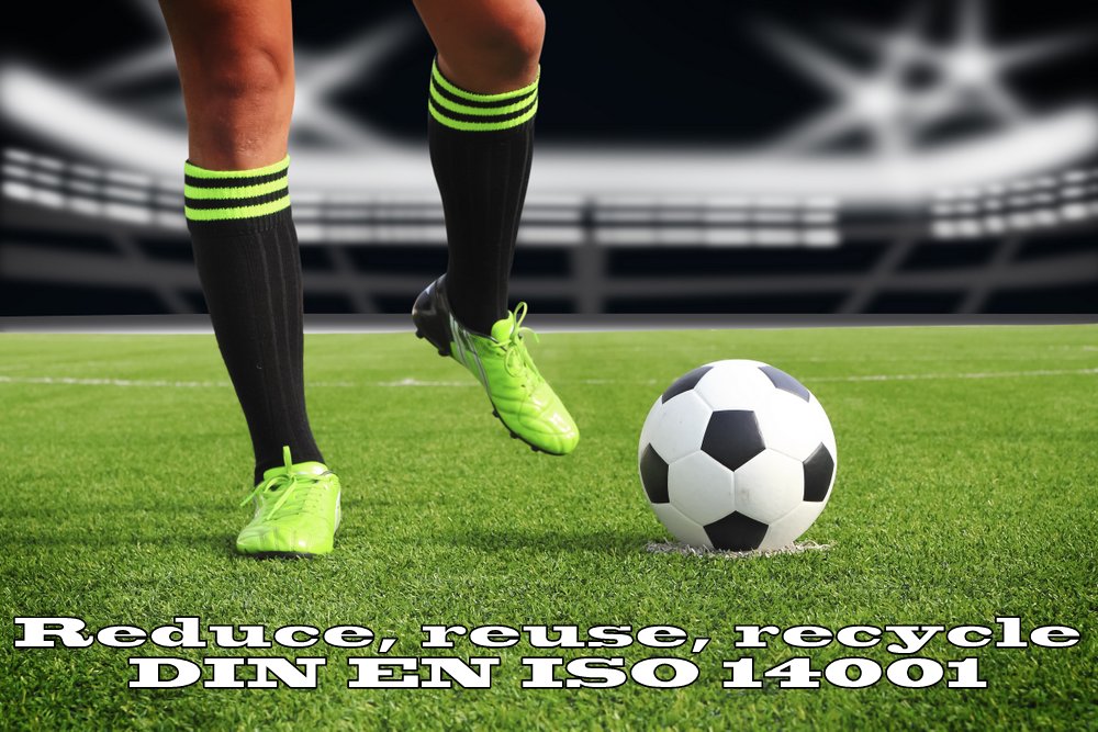 DIN ISO 14001: Umfassendes Umweltmanagement