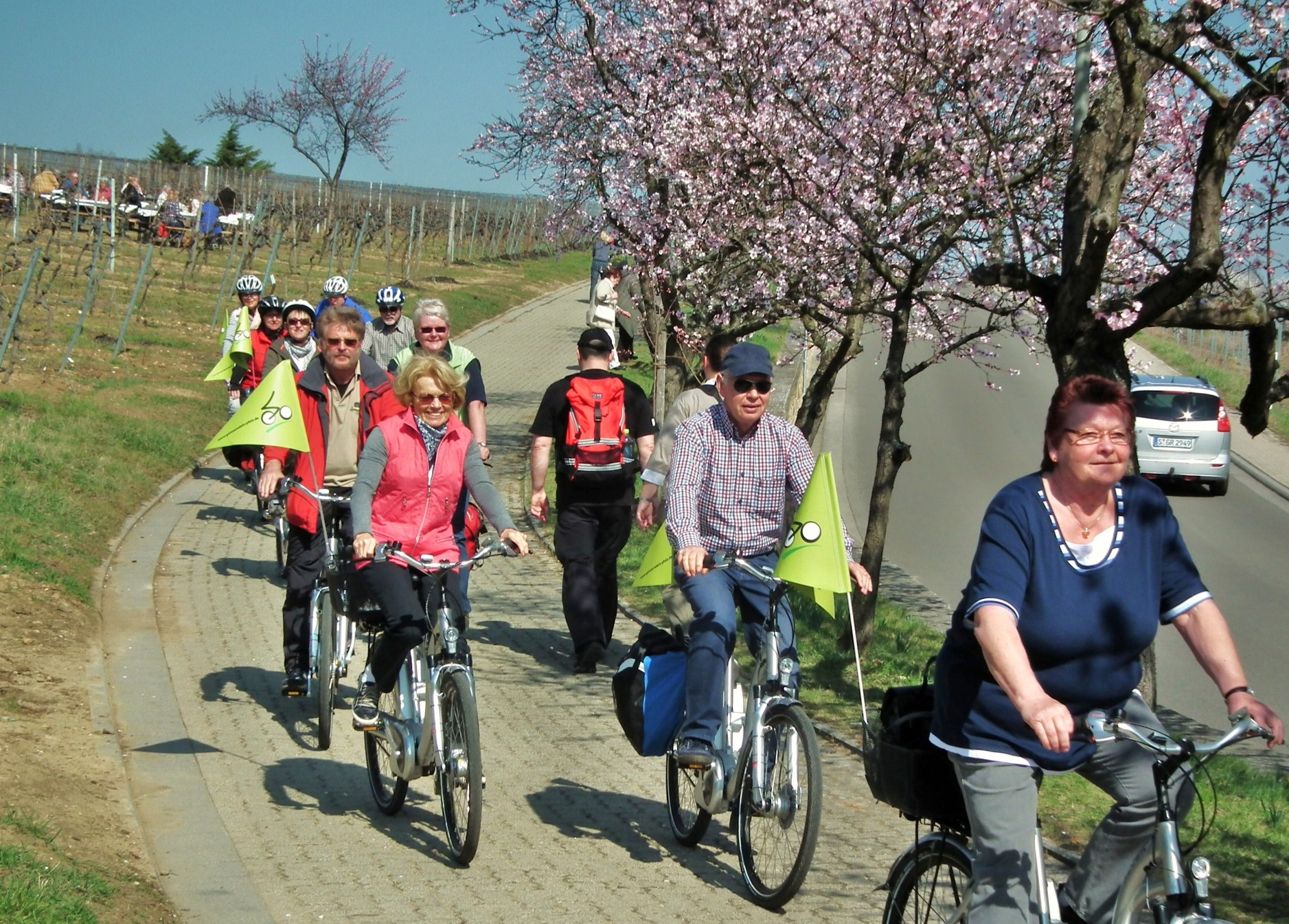 genussradeln-pfalz bietet Radtouren bei Herbstreiseauktionen zum Schäppchenpreis an genussradeln-pfalz bietet Radtouren bei Herbstreiseauktionen zum Schäppchenpreis an