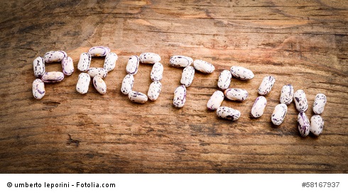 Artikelbild:©umberto leporini?Fotolia.com Artikelbild:©umberto leporini?Fotolia.com
