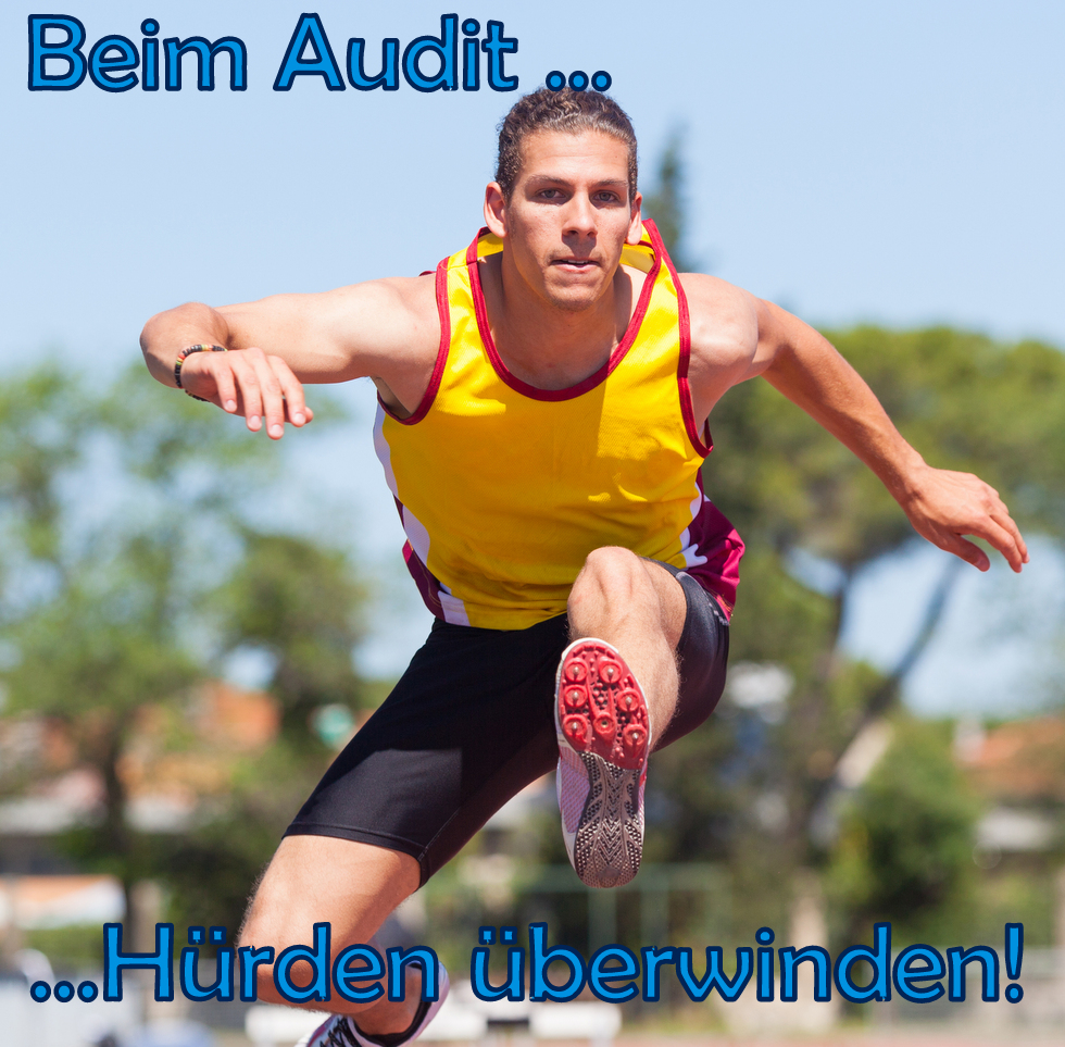 Durchführung von internen Audits