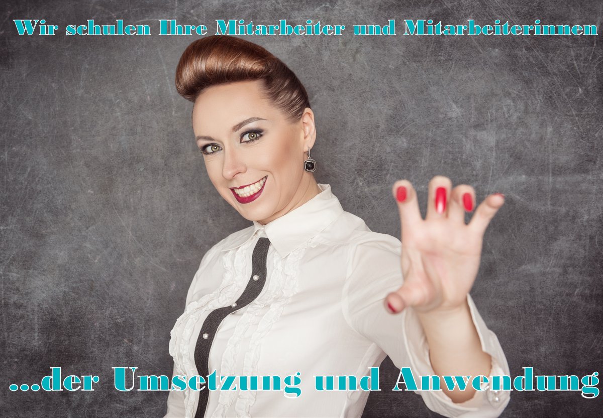 Einführung eines prozessorientierten QM nach DIN EN ISO 9001