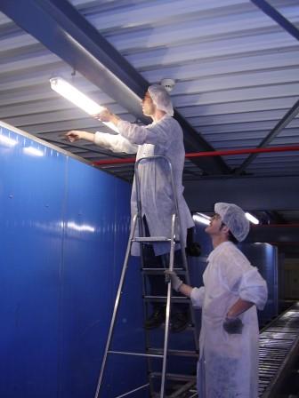 Lichtinstandhaltung in der Praxis, hier z.B. im Bereich der Lebensmittelindustrie Lichtinstandhaltung in der Praxis, hier z.B. im Bereich der Lebensmittelindustrie