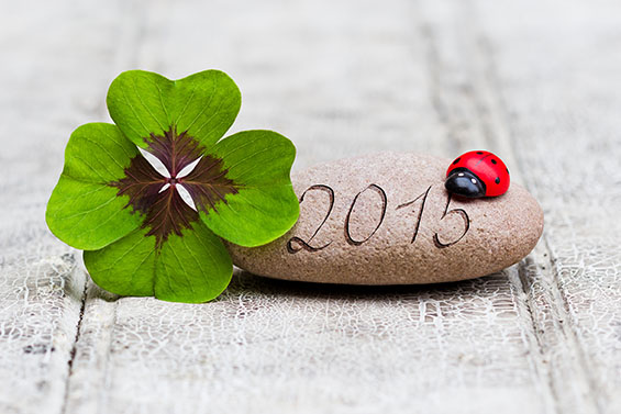 Die Experten vom Bio-Portal COSS-MOSS geben Tipps fürs nachhaltige Silvesterfest (Quelle: Fotolia - 