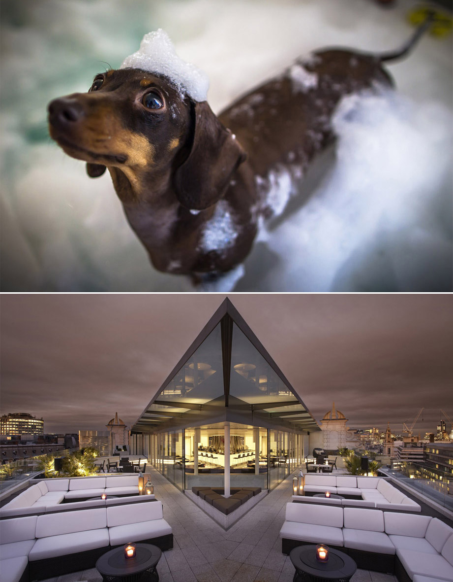 Bildnachweis: Meliá Hotels International Bildnachweis: Meliá Hotels International