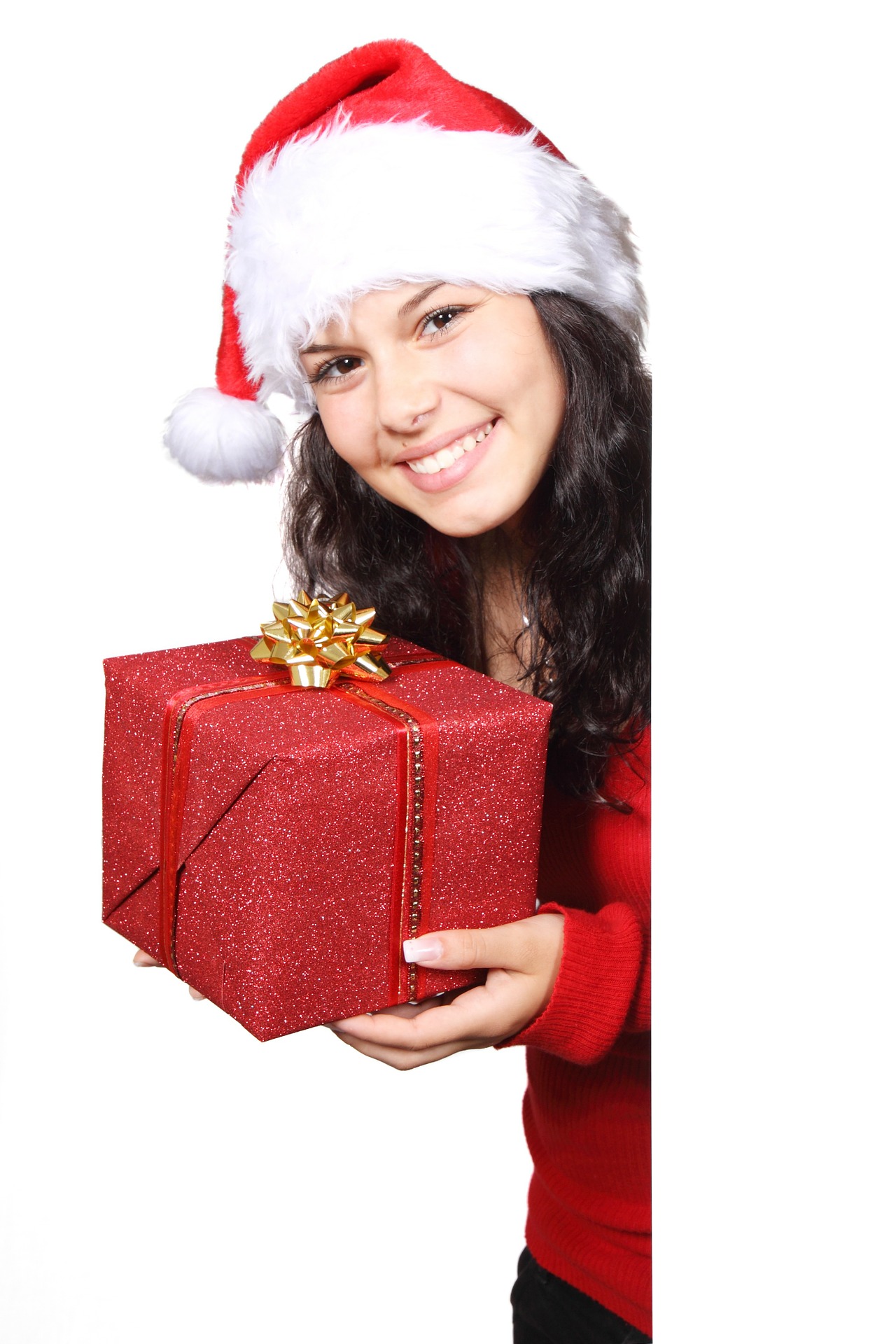 Google bevorzugt die Christmas-Domains, weil die Domainendung bereits ein wichiges Schlüsselwort ent Google bevorzugt die Christmas-Domains, weil die Domainendung bereits ein wichiges Schlüsselwort ent
