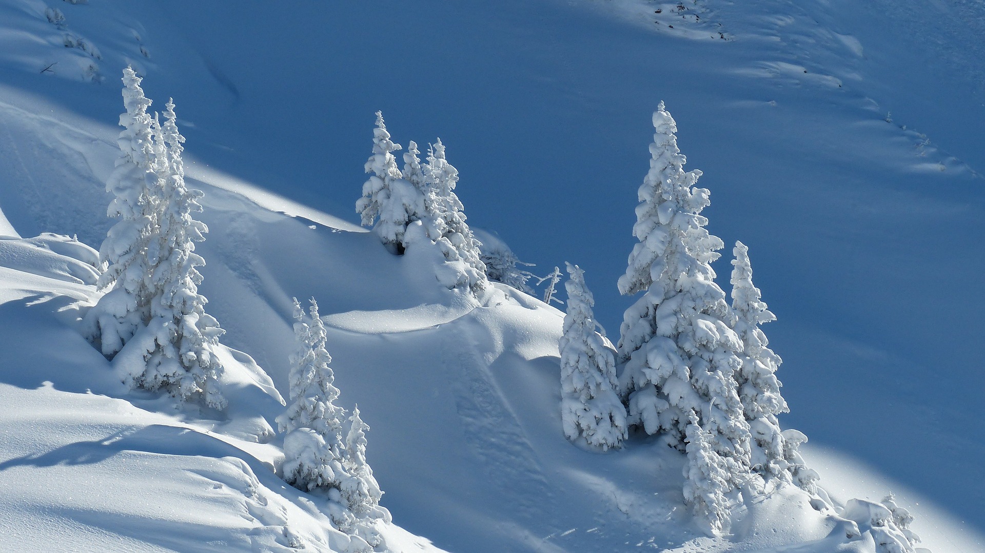 Googe bevorzugt Tirol-Domains bei regionalen Suchabfragen (Bildquelle: Flymeupmike) Googe bevorzugt Tirol-Domains bei regionalen Suchabfragen (Bildquelle: Flymeupmike)