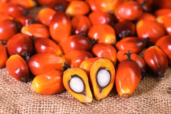 Foto: Fotolia (No. 5172) Foto: Fotolia (No. 5172)
