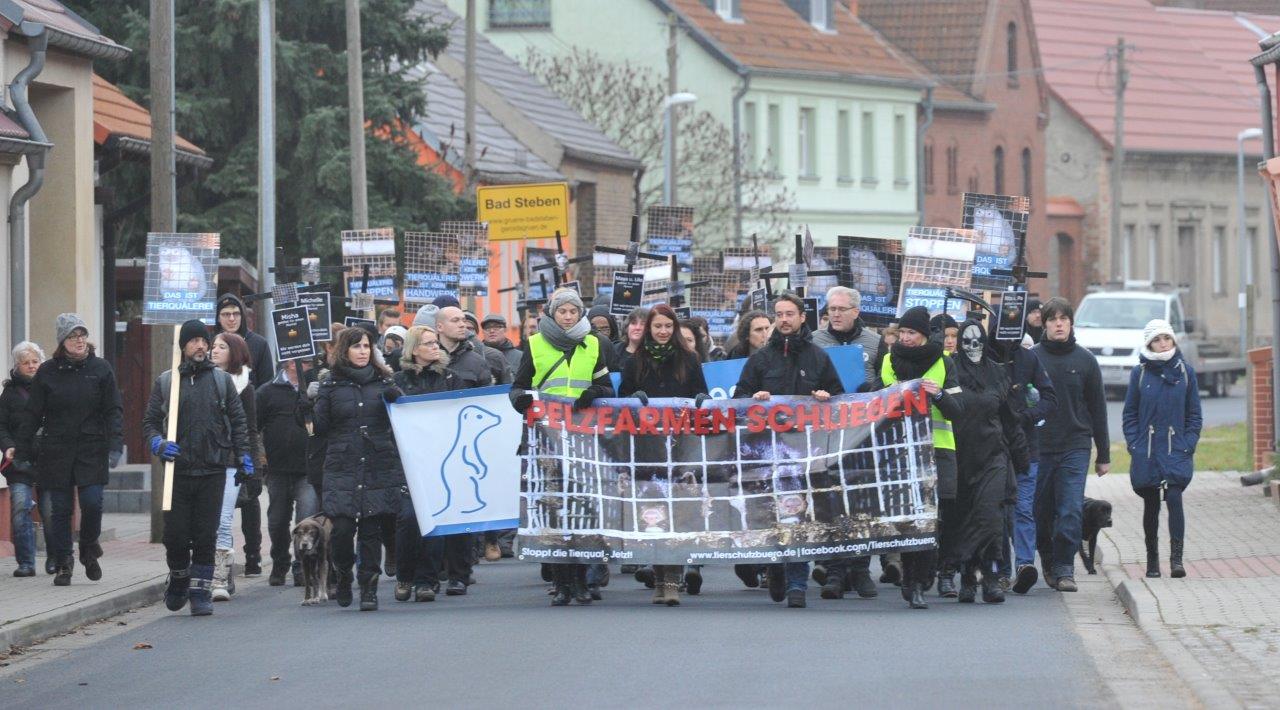 Über hundert Tierschützer demonstrierten vor Nerzfarm in Frankenförde