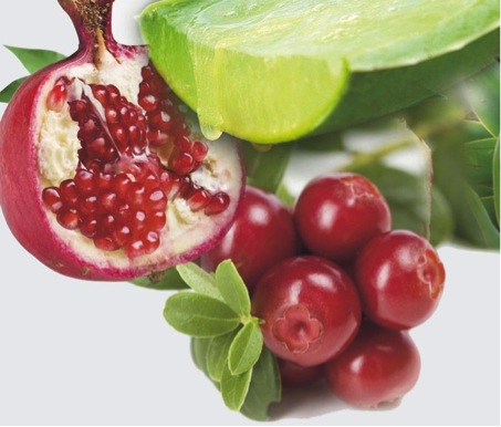 Gesundheit lässt sich nicht verschenken, aber Vitamine! Gesundheit lässt sich nicht verschenken, aber Vitamine!