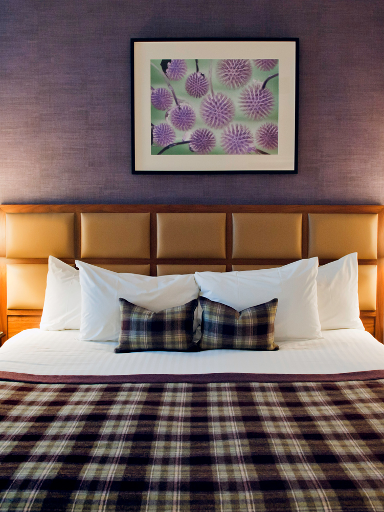 In Europa sind generell die soliden, komfortablen, mittelgroßen Hotels am beliebtesten.