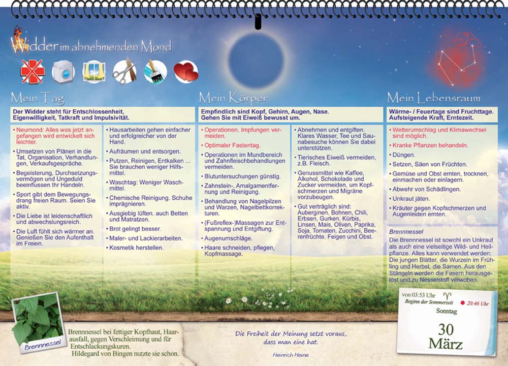 Beispielblatt Gesundheitsmond-Kalender