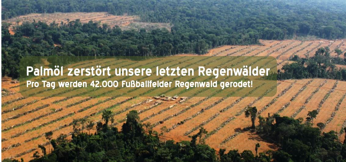 Palmöl zerstört Regenwälder! Palmöl zerstört Regenwälder!