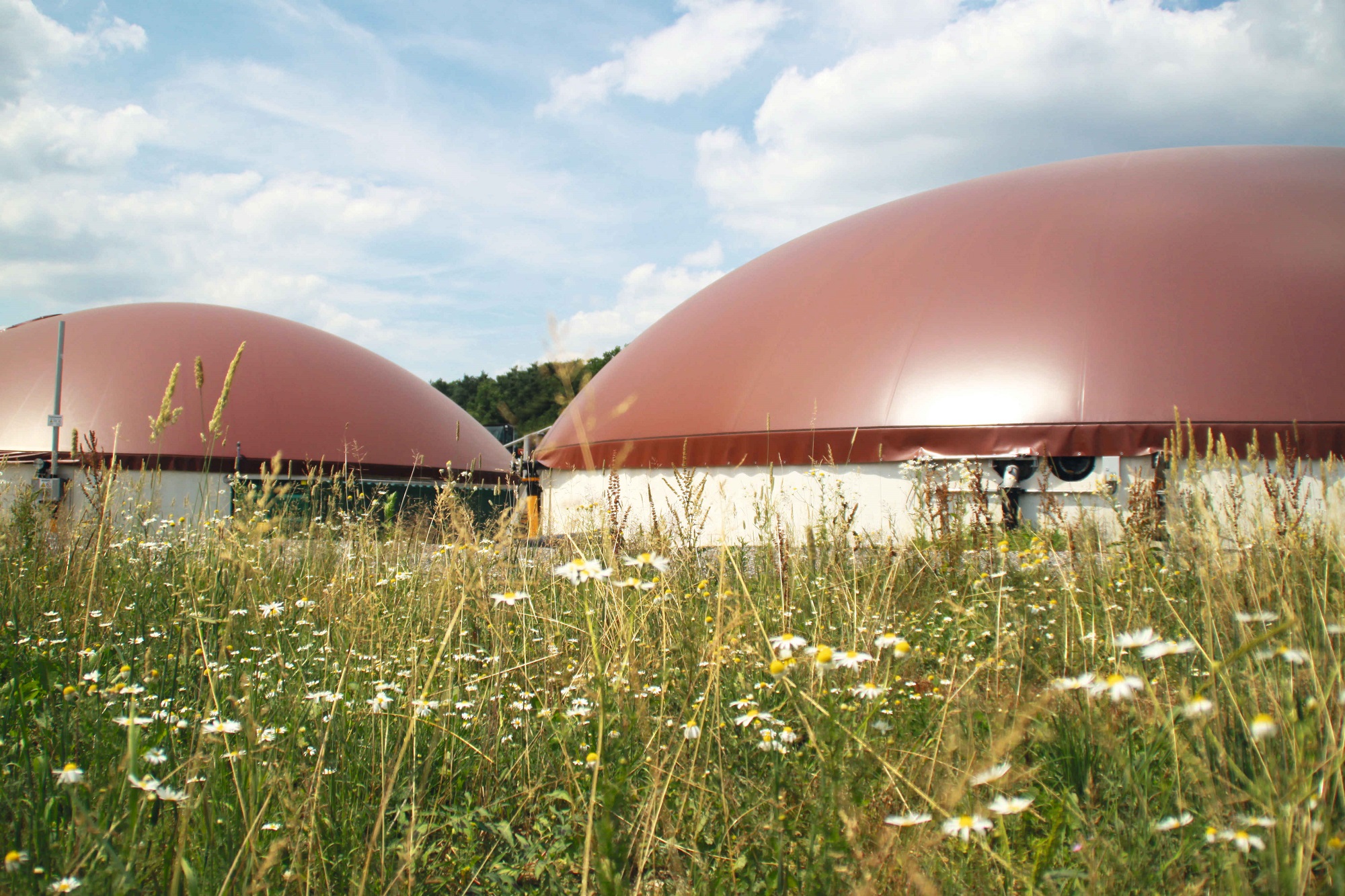 Die NATURSTROM AG senkt die Preise ihrer Biogas-Tarife.
