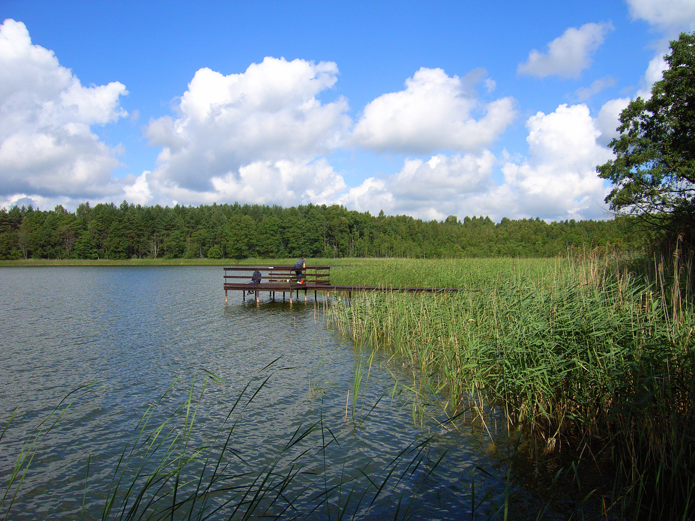 Schnieder Reisen: Im Land der 1000 Seen. Die Masurische Seenlandschaft ist ein gutes Radrevier.
