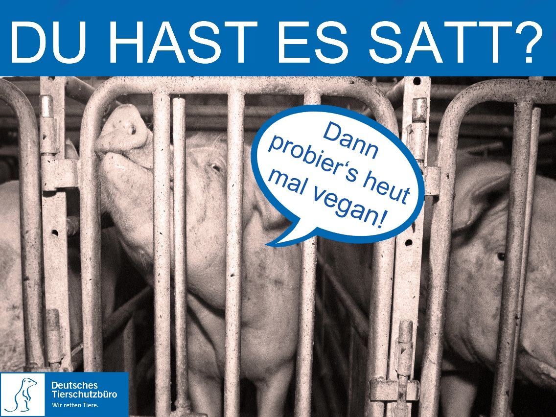 Deutsches Tierschutzbüro: DU HAST ES SATT? - DANN PROBIER"S HEUTE MAL VEGAN