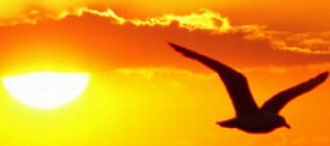 Fragen und Antworten zu sog. Nachtodkontakten