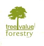 tree value forestry GmbH