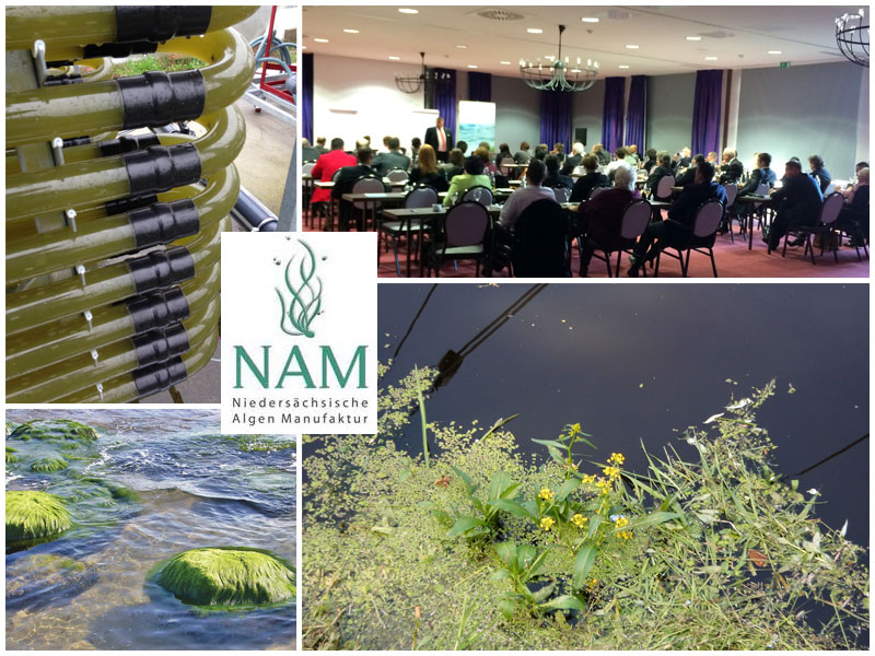 NAM Niedersächsische Algen Manufaktur GmbH NAM Niedersächsische Algen Manufaktur GmbH