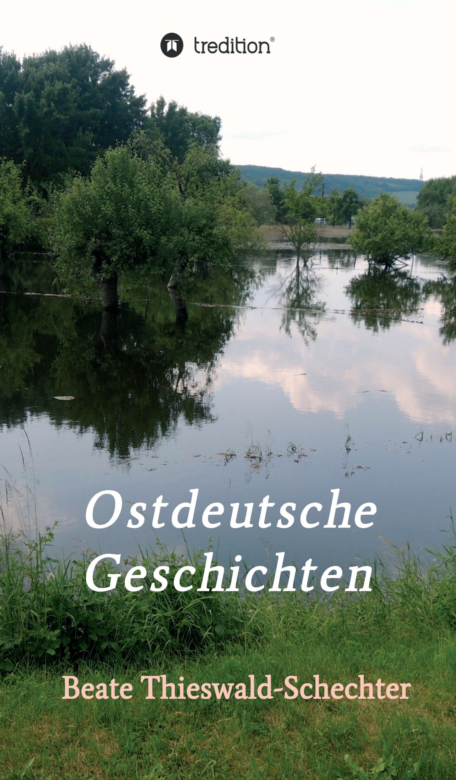 Wendeliteratur, Lebenserfahrungen DDR, Ostdeutsche Literatur nach 1989, DDR-Familiengeschichten, Una Wendeliteratur, Lebenserfahrungen DDR, Ostdeutsche Literatur nach 1989, DDR-Familiengeschichten, Una