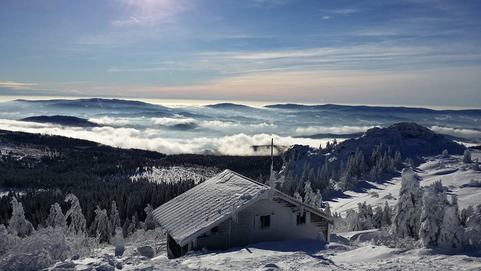 Wintertraum in Bodenmais