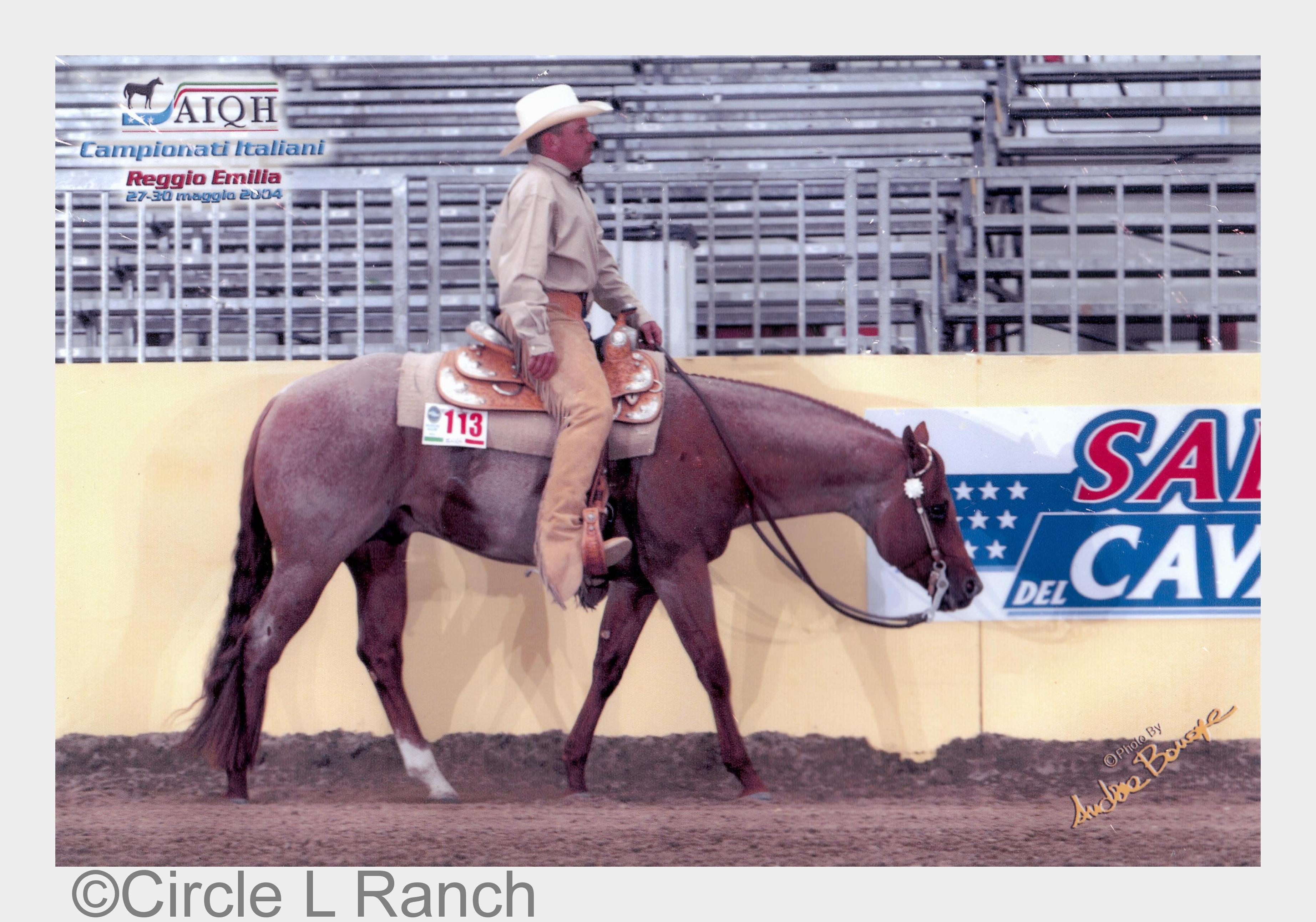 Keith Long präsentiert Zippos Good Mr der 31. Hengstpräsentation der Circle L Ranch (Bildquelle: Ci Keith Long präsentiert Zippos Good Mr der 31. Hengstpräsentation der Circle L Ranch (Bildquelle: Ci
