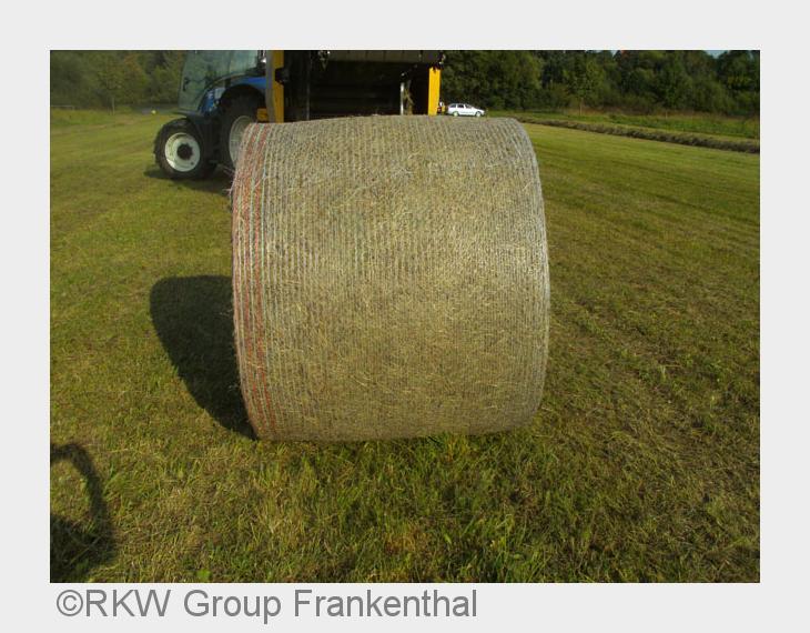 Rundballennetz Rondotex®IM-PRESS (Bildquelle: RKW Group Frankenthal)