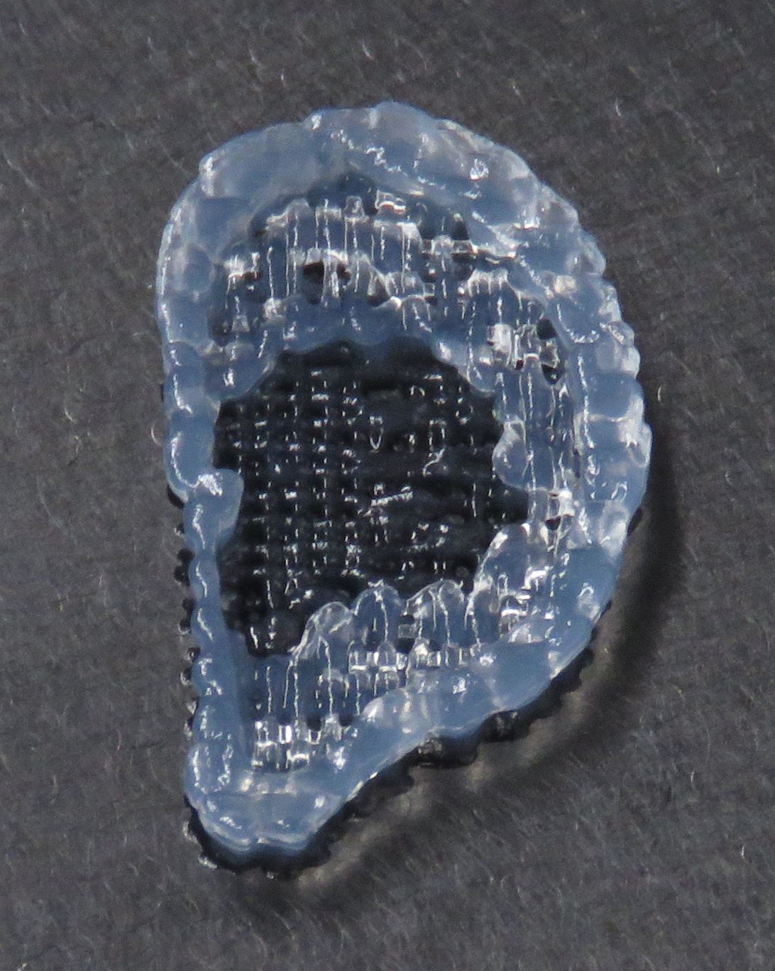 3D-gedrucktes Ohr auf der Basis von Spinnenseide. Die verwendeten lebenden Zellen bleiben dabei funk 3D-gedrucktes Ohr auf der Basis von Spinnenseide. Die verwendeten lebenden Zellen bleiben dabei funk