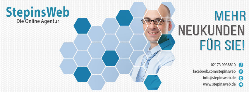 Die Online Agentur Stepinsweb