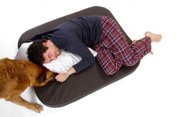 DoggyBed Hundebetten in Sondergrößen