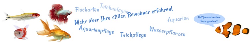 TierklinikenNet vom UPA Verlag TierklinikenNet vom UPA Verlag