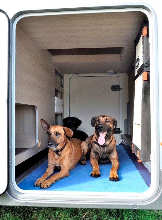 Mit dem Hund in den Urlaub: Im"Waumobil" dürfen die geliebten Vierbeiner gerne mitreisen. Mit dem Hund in den Urlaub: Im"Waumobil" dürfen die geliebten Vierbeiner gerne mitreisen.