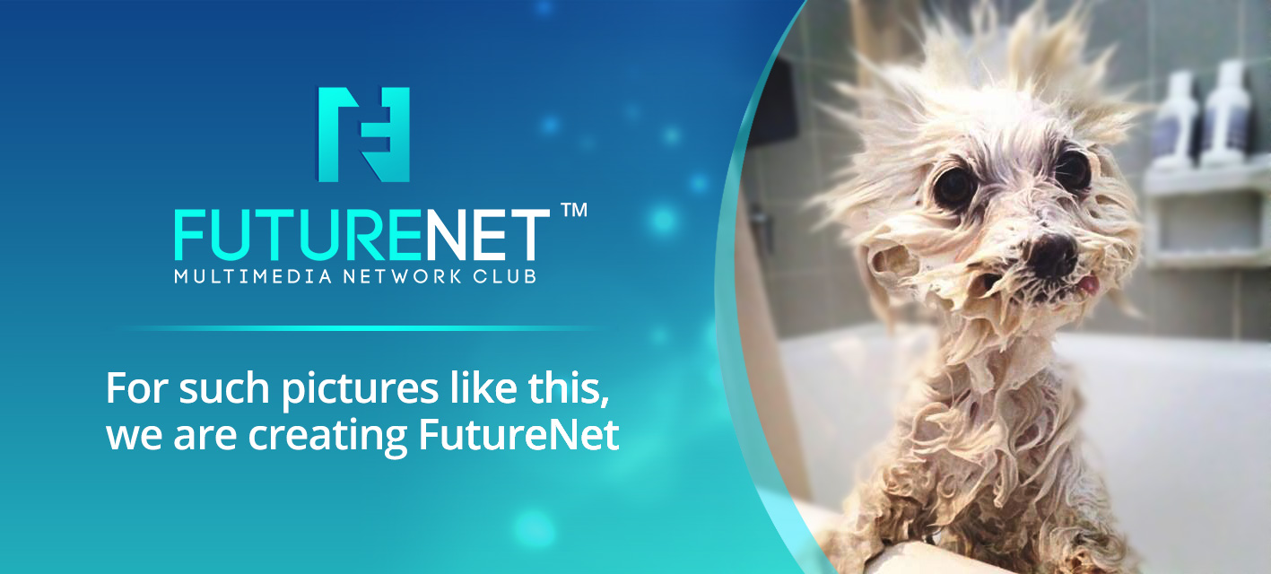 FutureNet - Deine Plattform FutureNet - Deine Plattform