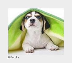 (Bildquelle: Fotolia)