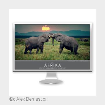 (Bildquelle: c Alex Bernasconi)