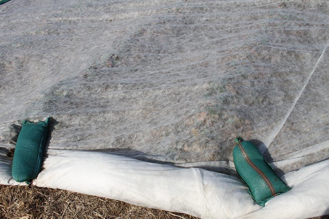 Schutz für Ihre Ernte bei Spätfrost. Schutz für Ihre Ernte bei Spätfrost.