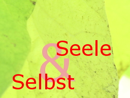 Wenn sich das Selbst mit der Seele verbindet... Wenn sich das Selbst mit der Seele verbindet...