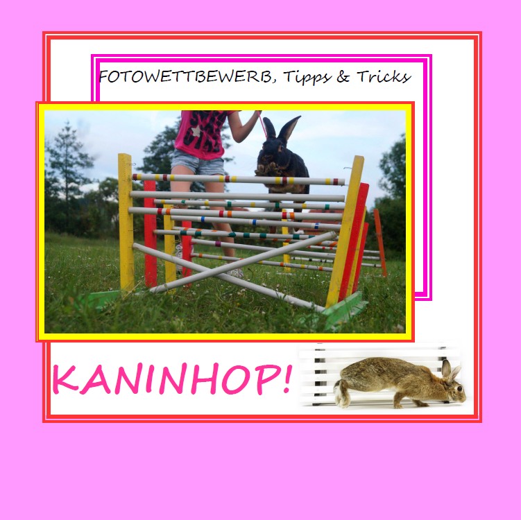 Cover: Kaninhop Zirndorf - Preisträger des Fotowettbewerbs und der Europameisterschaften in Kaninhop