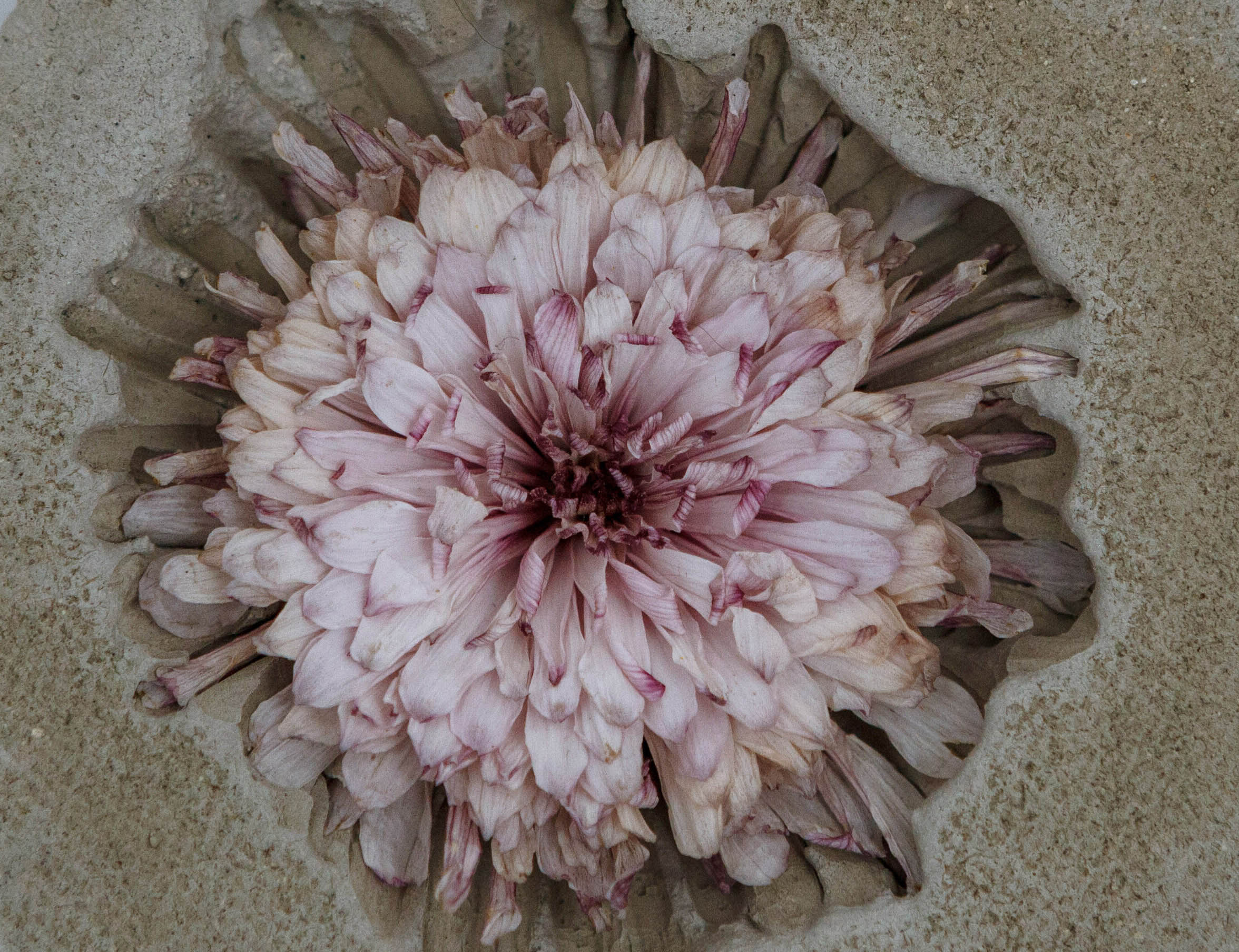 Eda Soylu | Detail eines Werks aus der Serie 