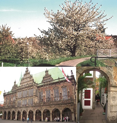 Baumblüte im Alten Land, Bremen-Szenerien. Schön. (Foto-Montage: presseweller) Baumblüte im Alten Land, Bremen-Szenerien. Schön. (Foto-Montage: presseweller)
