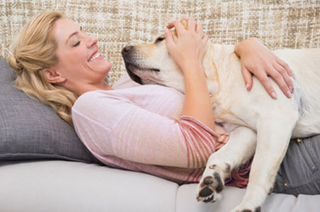 So wird Ihr Hund Ihr bester Begleiter So wird Ihr Hund Ihr bester Begleiter