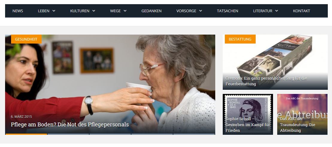Screenshot Online-Journal"Jenseite"