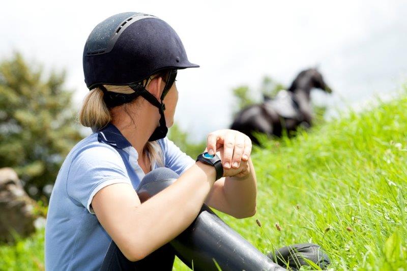 Geo-Horse: im Notfall Hilfe auf Knopfdruck! Geo-Horse: im Notfall Hilfe auf Knopfdruck!