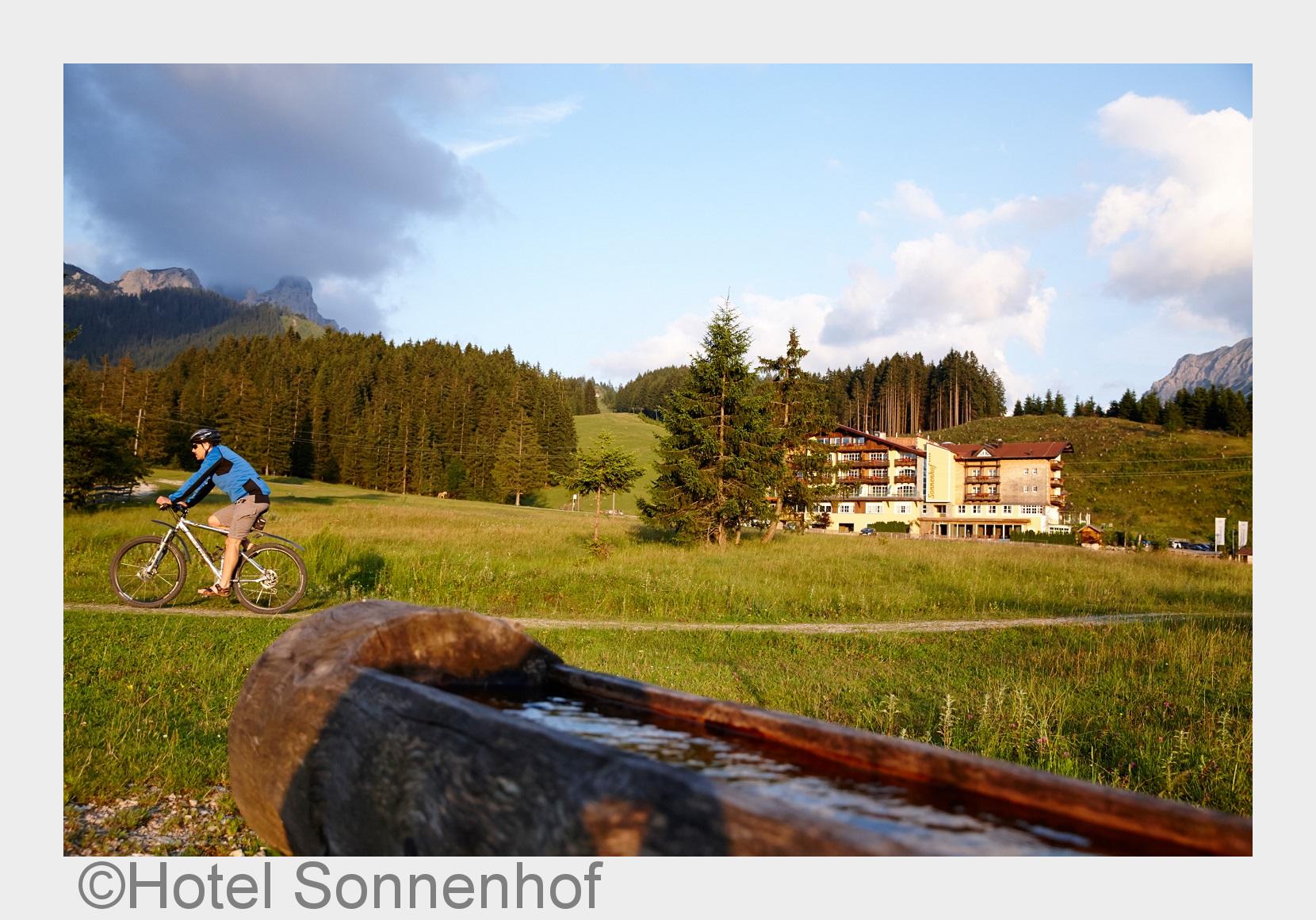 (Bildquelle: Hotel Sonnenhof) (Bildquelle: Hotel Sonnenhof)