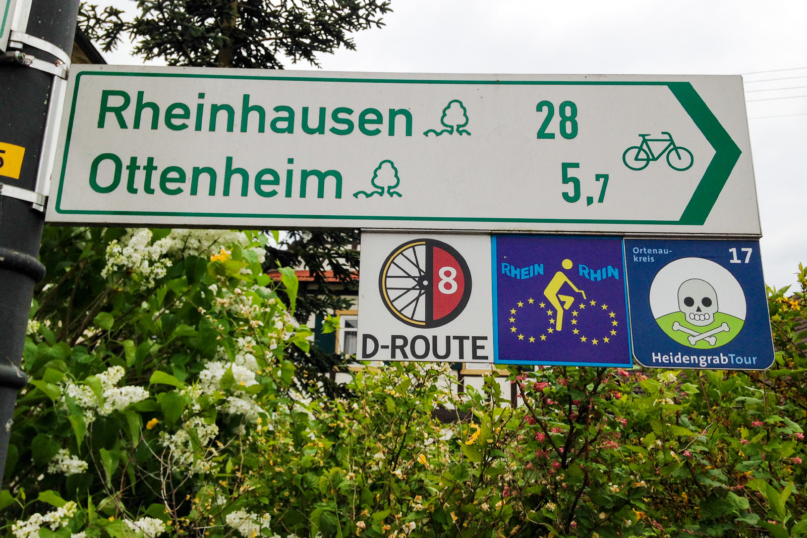 Rhein-Radweg Rhein-Radweg