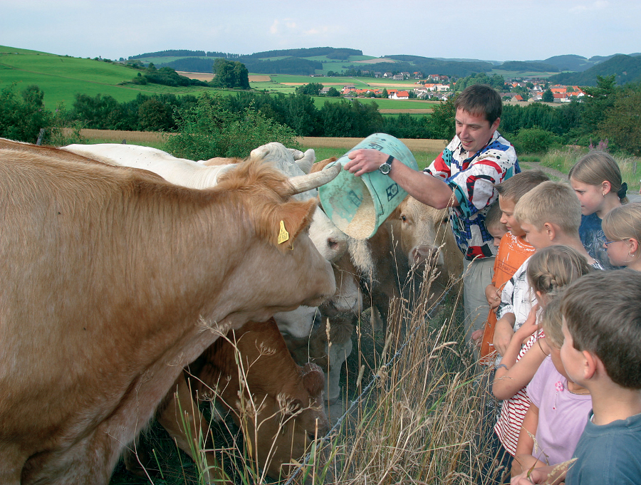 Erlebnisreiche Ferien mit der ganzen Familie im schönen Willingen