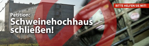 Deutsches Tierschutzbüro e.V. erstattet Strafanzeige gegen Schweinehochhaus & startet Petition